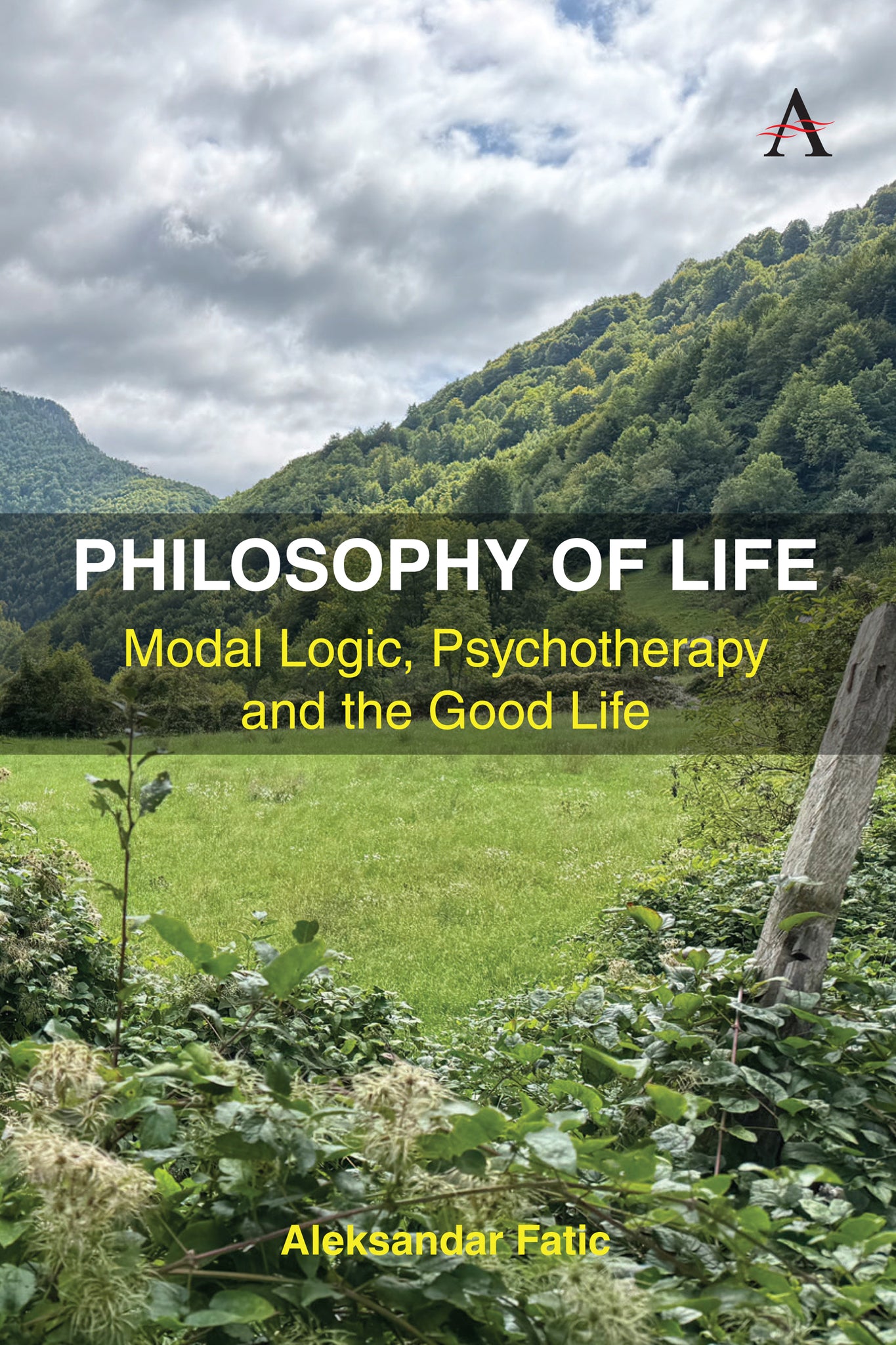 Cover image for Philosophy of Life ISBN 9781839998959